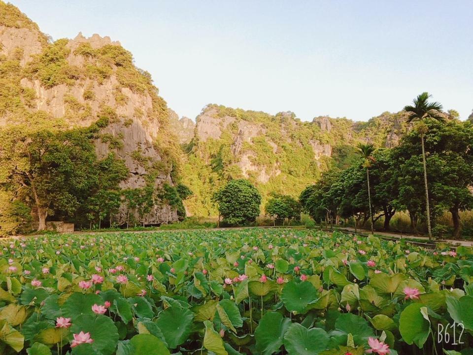 Tam Coc Happy Home Ninh Binh Eksteriør billede